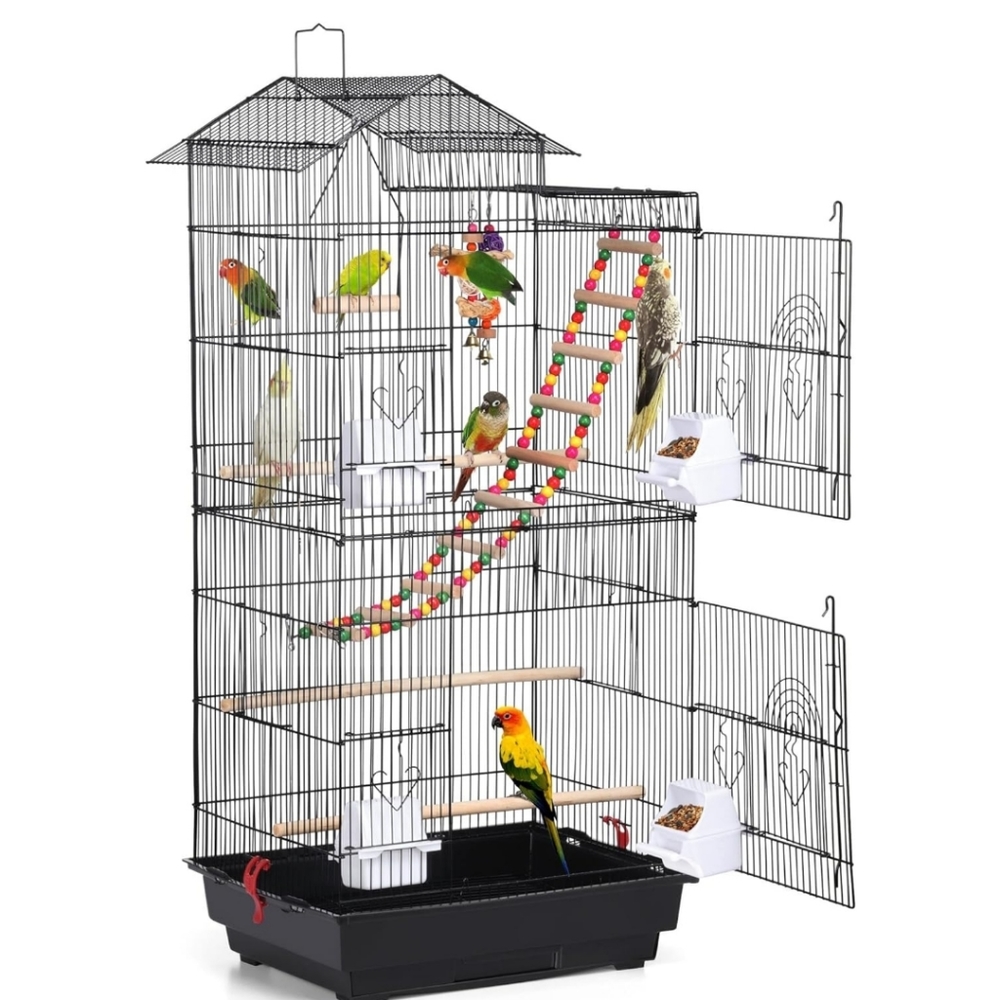 Large Parakeet Bird Cage With Vibrant Colors, 1 Ladder, and 2 Hanging Toys